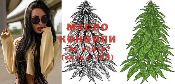 амф Бородино