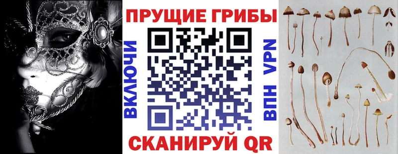 shop состав  Брюховецкая  Галлюциногенные грибы GOLDEN TEACHER 